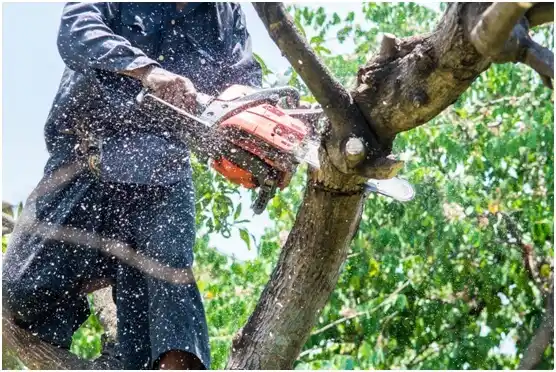 tree services Genola